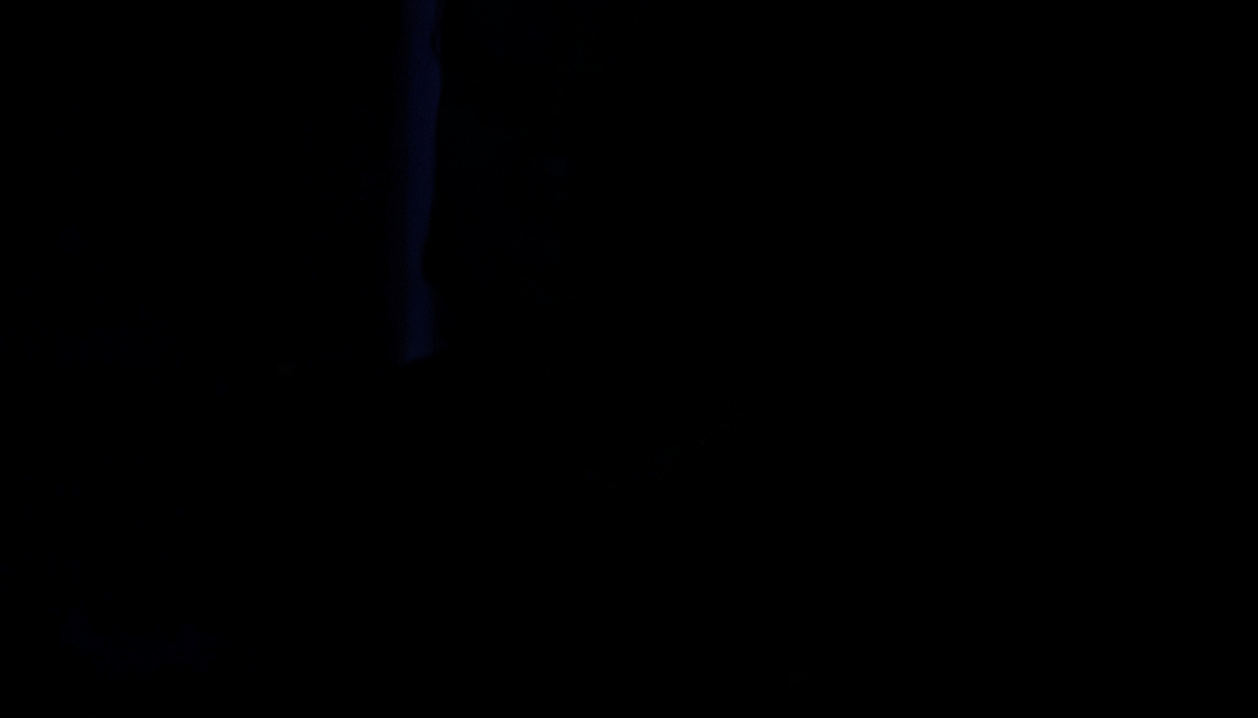 Imagen graciosa con tonos oscuros y acentos de color, perfecta para redes sociales